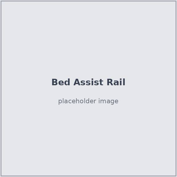 Bed assist rail