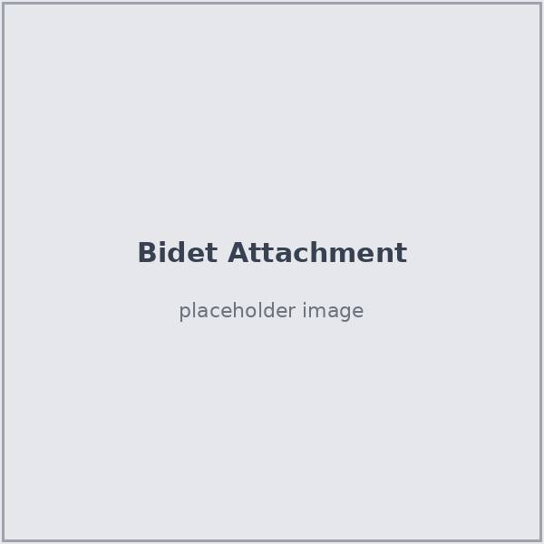 Bidet attachment