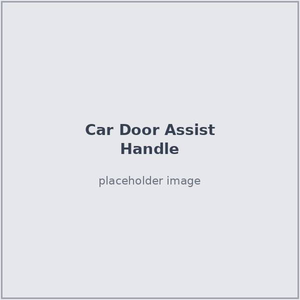 Car door assist handle