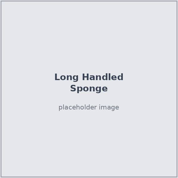 Long-handled sponge
